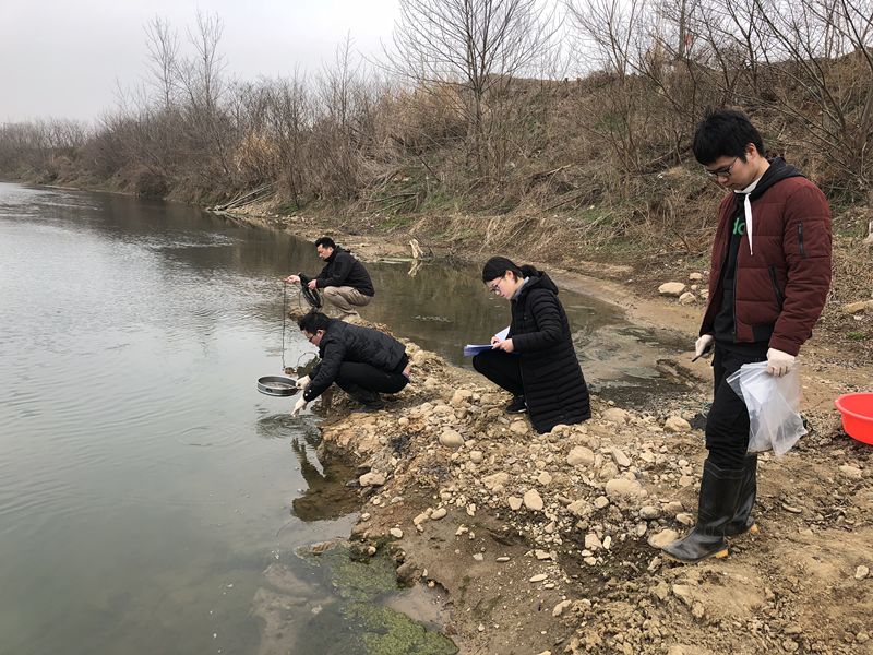 地表水与沉积物环境损害鉴定